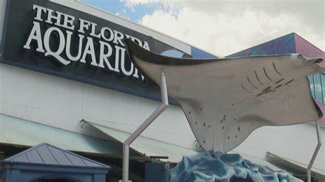 VIA Aquarium's Memorial Day weekend plans
